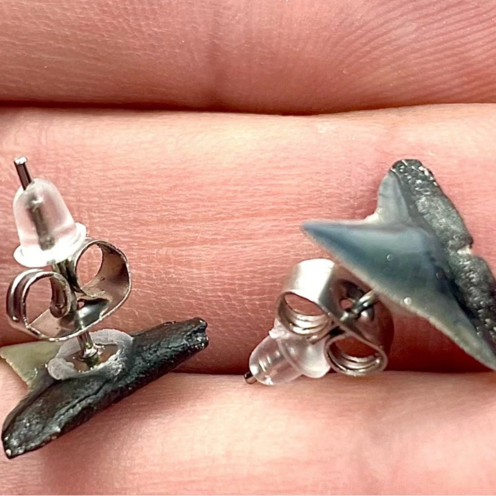 Shark teeth earrings!!